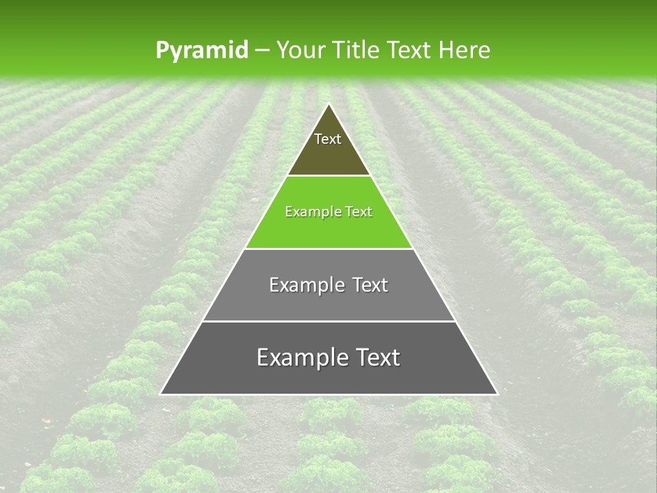Natural Farming Field PowerPoint Template