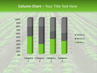 Natural Farming Field PowerPoint Template