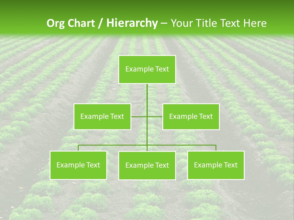 Natural Farming Field PowerPoint Template