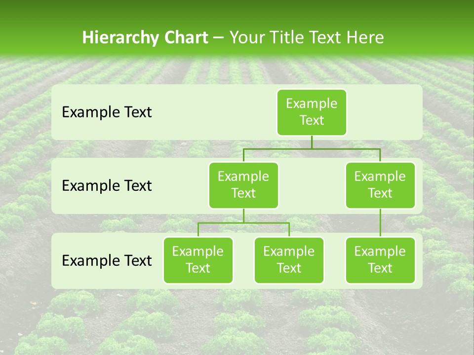 Natural Farming Field PowerPoint Template