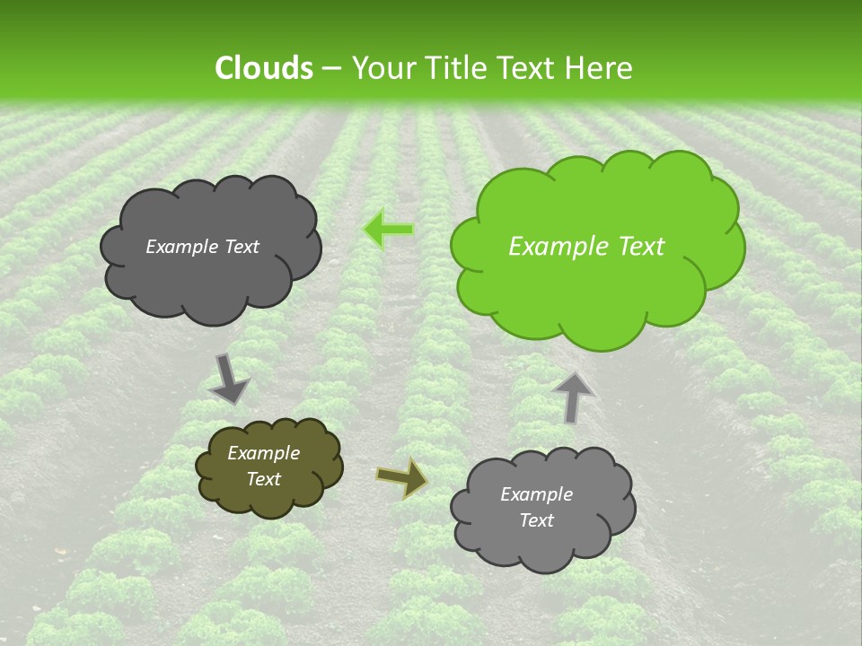 Natural Farming Field PowerPoint Template