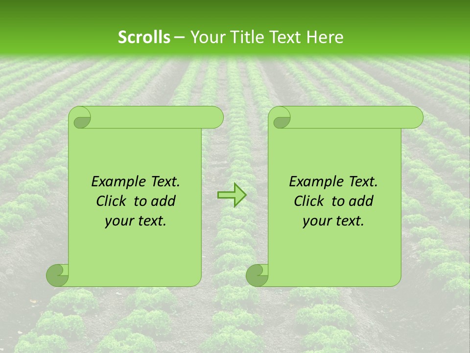 Natural Farming Field PowerPoint Template