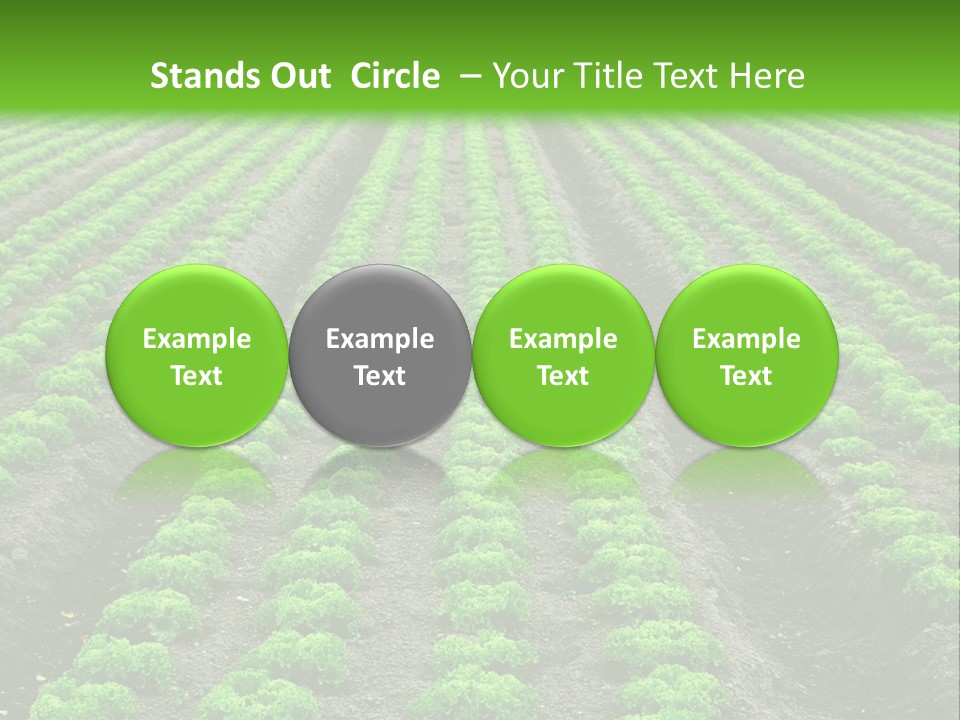 Natural Farming Field PowerPoint Template