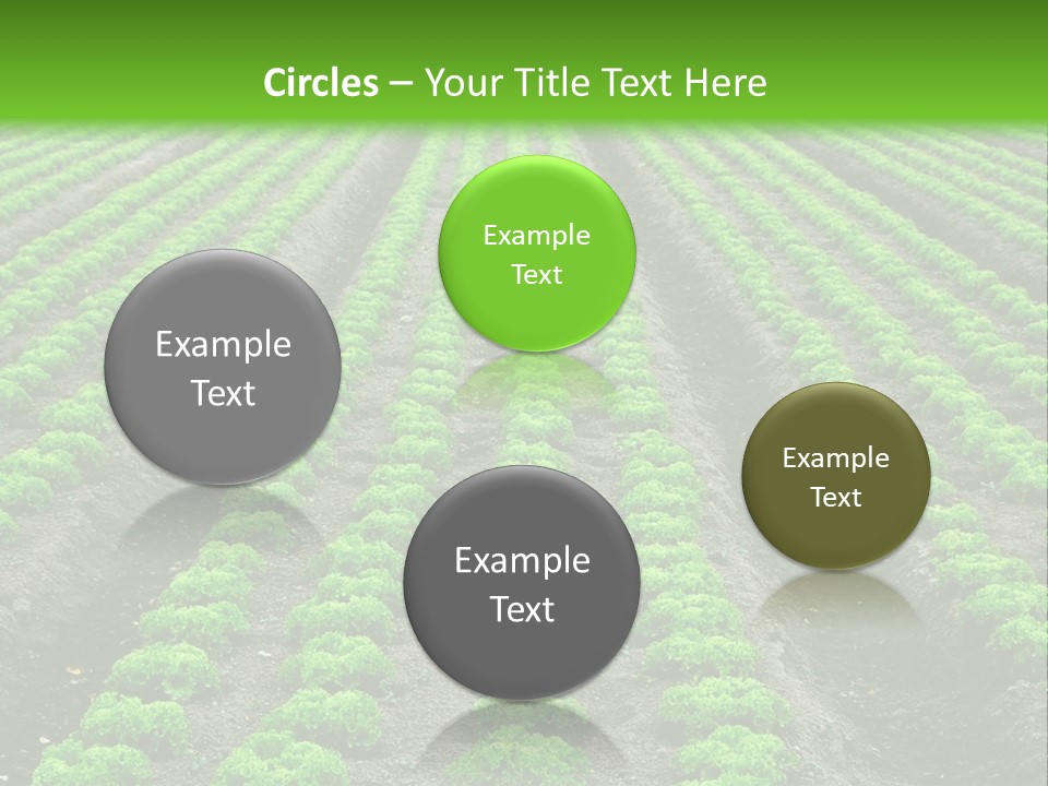 Natural Farming Field PowerPoint Template