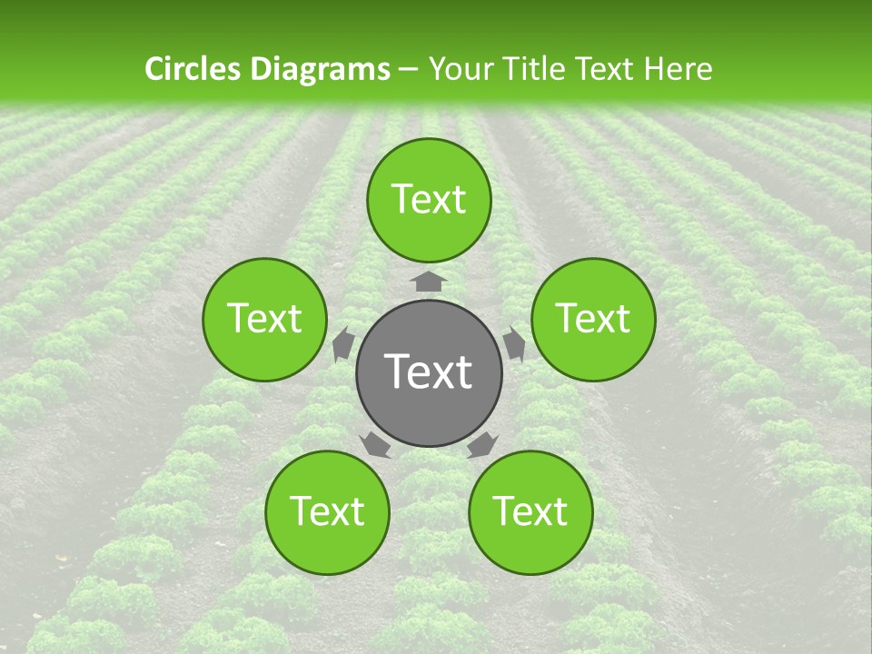 Natural Farming Field PowerPoint Template
