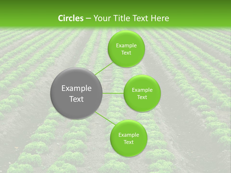 Natural Farming Field PowerPoint Template