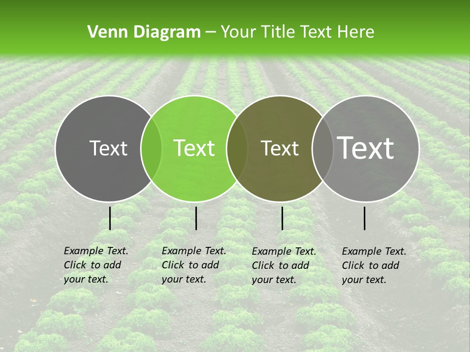 Natural Farming Field PowerPoint Template