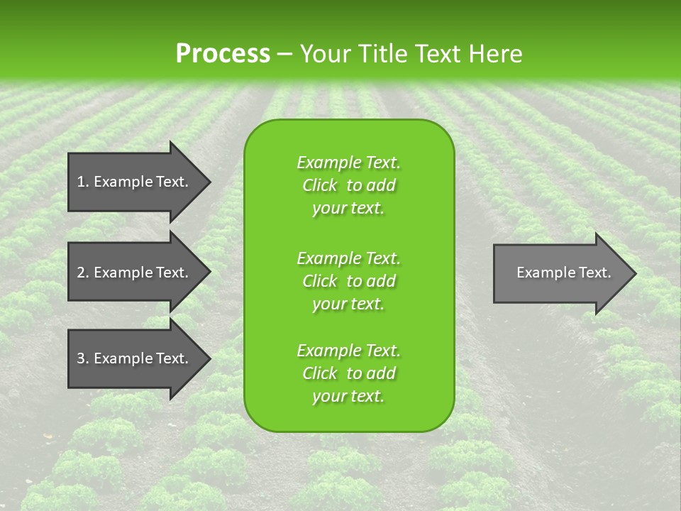 Natural Farming Field PowerPoint Template