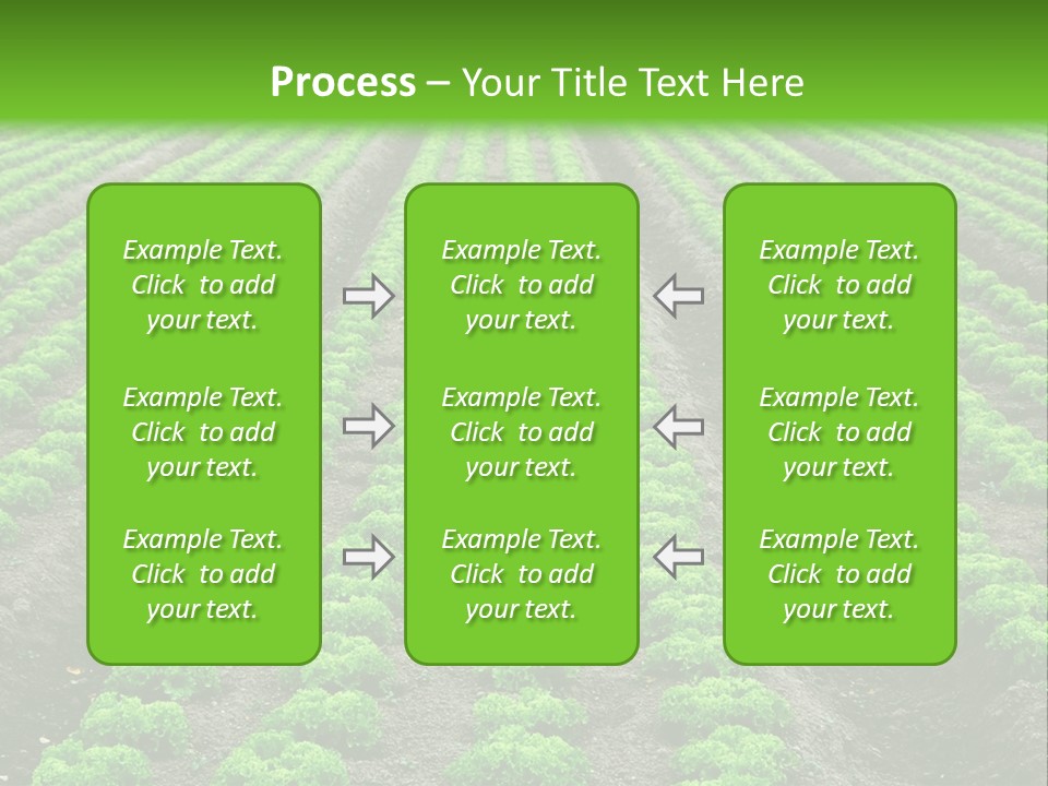 Natural Farming Field PowerPoint Template