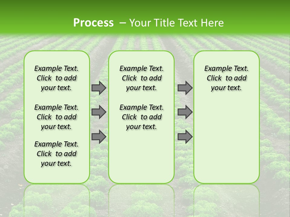 Natural Farming Field PowerPoint Template