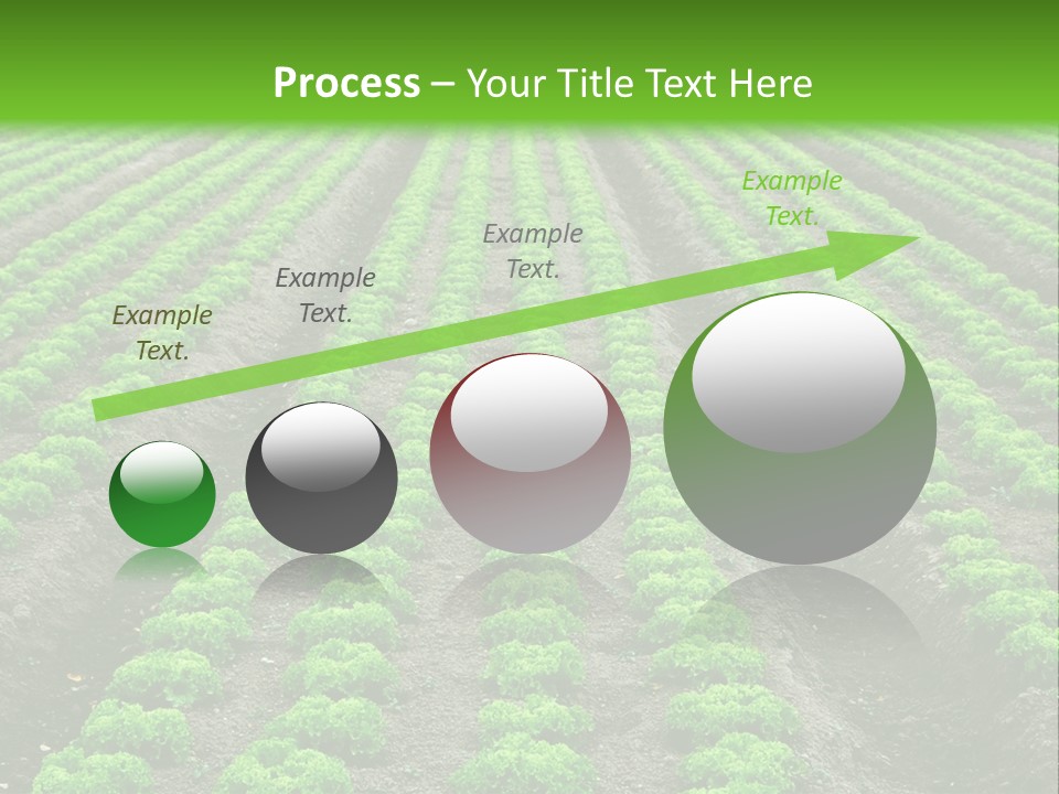 Natural Farming Field PowerPoint Template