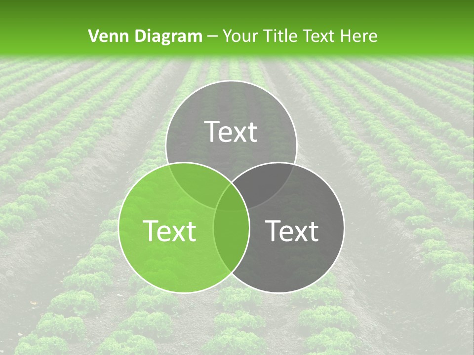 Natural Farming Field PowerPoint Template
