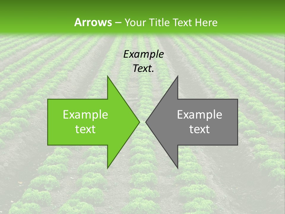 Natural Farming Field PowerPoint Template