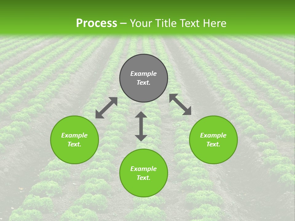Natural Farming Field PowerPoint Template