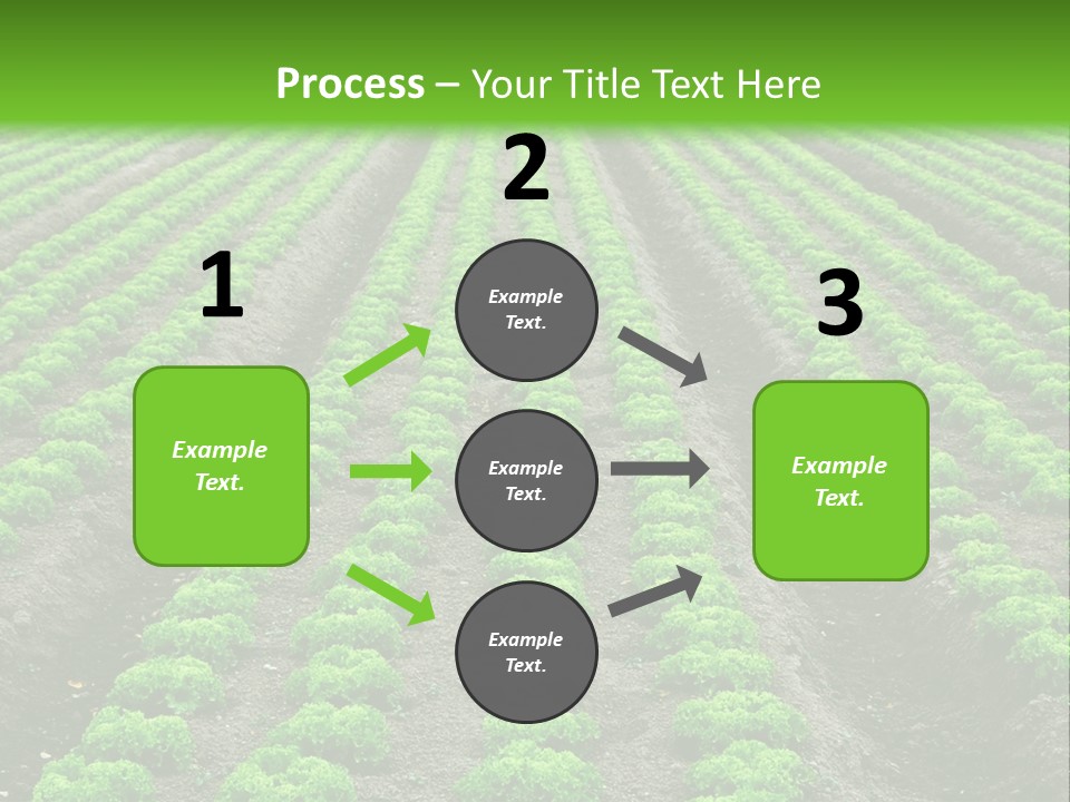 Natural Farming Field PowerPoint Template