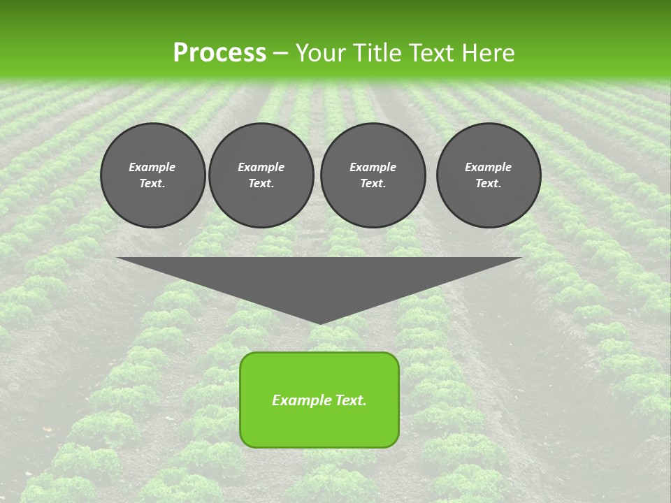 Natural Farming Field PowerPoint Template