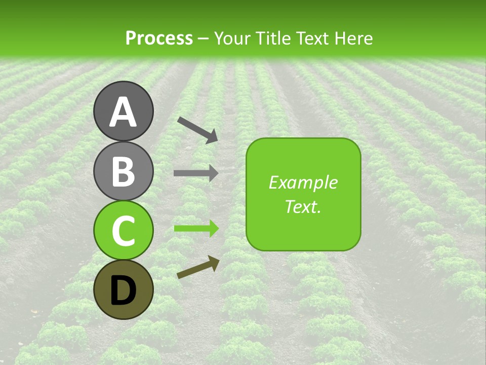 Natural Farming Field PowerPoint Template
