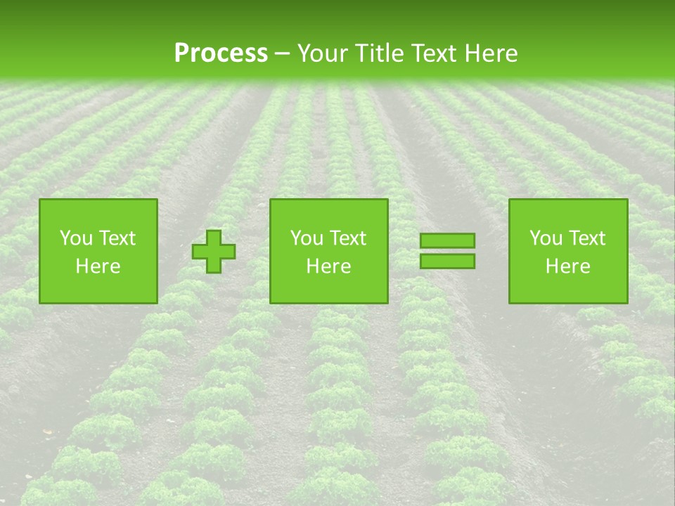 Natural Farming Field PowerPoint Template