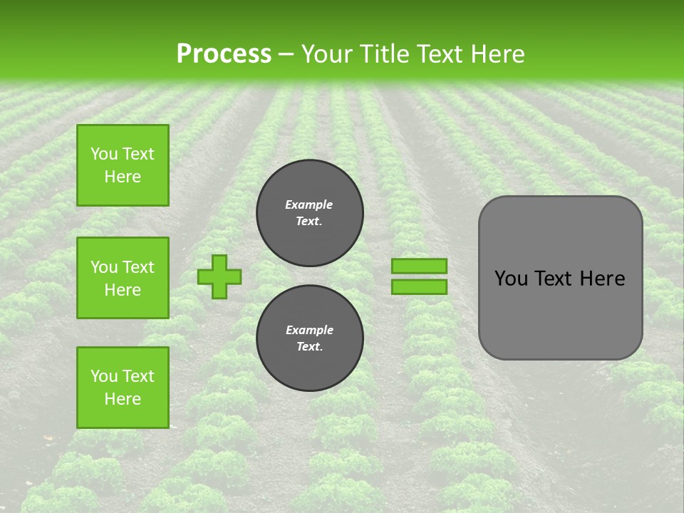Natural Farming Field PowerPoint Template