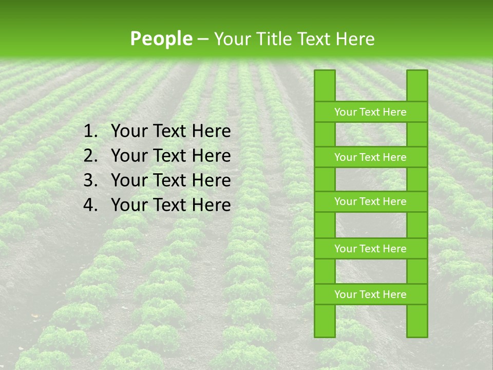 Natural Farming Field PowerPoint Template