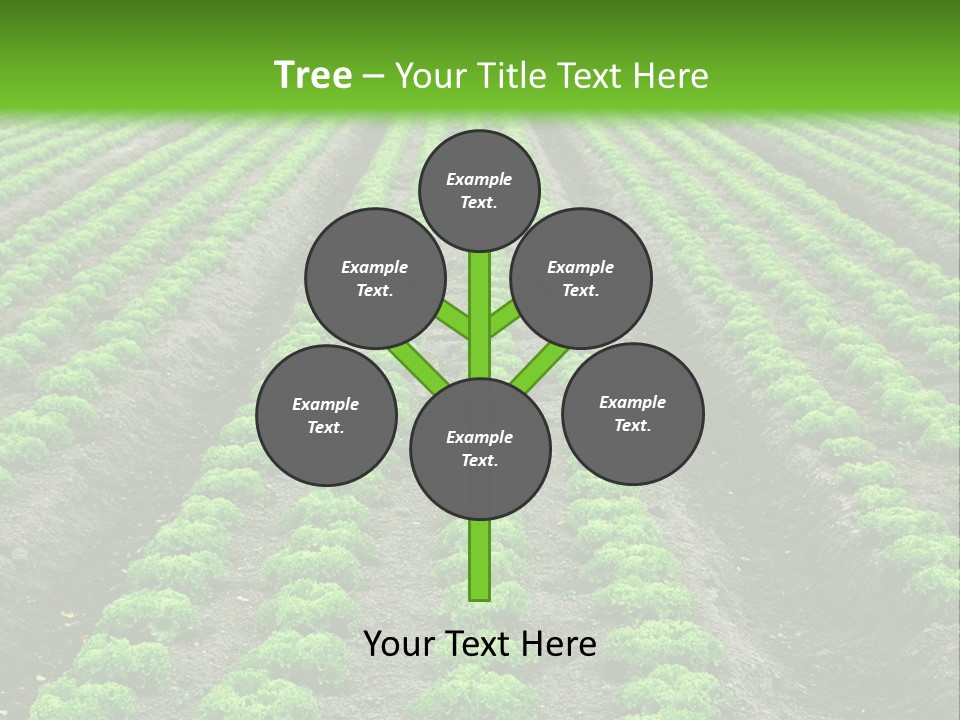 Natural Farming Field PowerPoint Template
