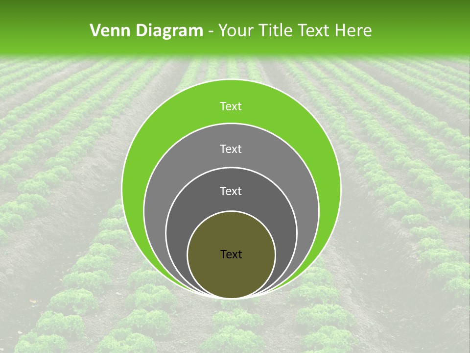 Natural Farming Field PowerPoint Template