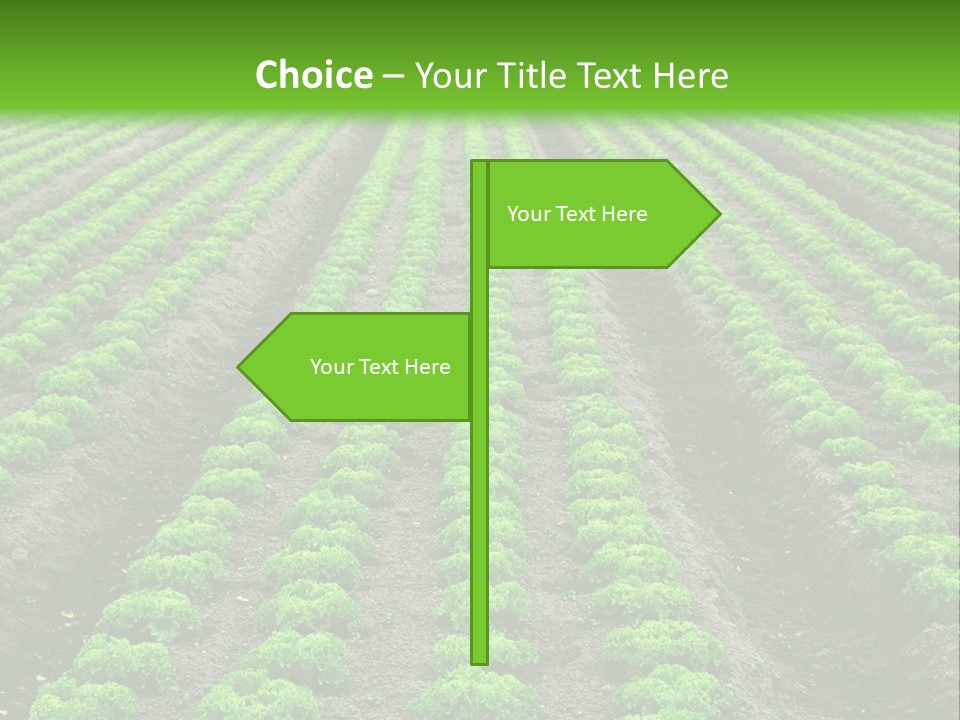 Natural Farming Field PowerPoint Template