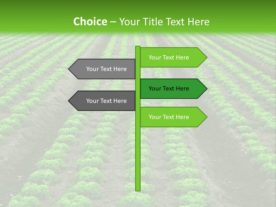 Natural Farming Field PowerPoint Template