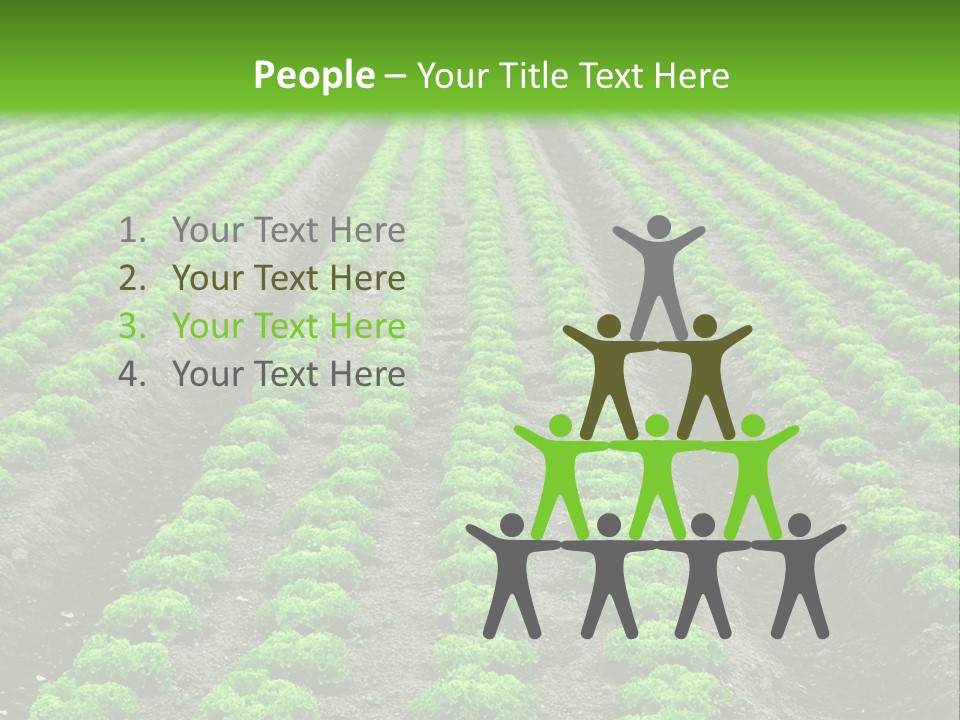 Natural Farming Field PowerPoint Template