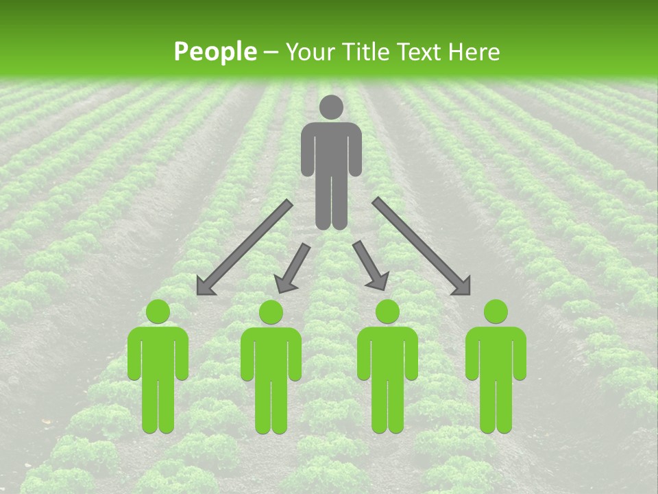 Natural Farming Field PowerPoint Template