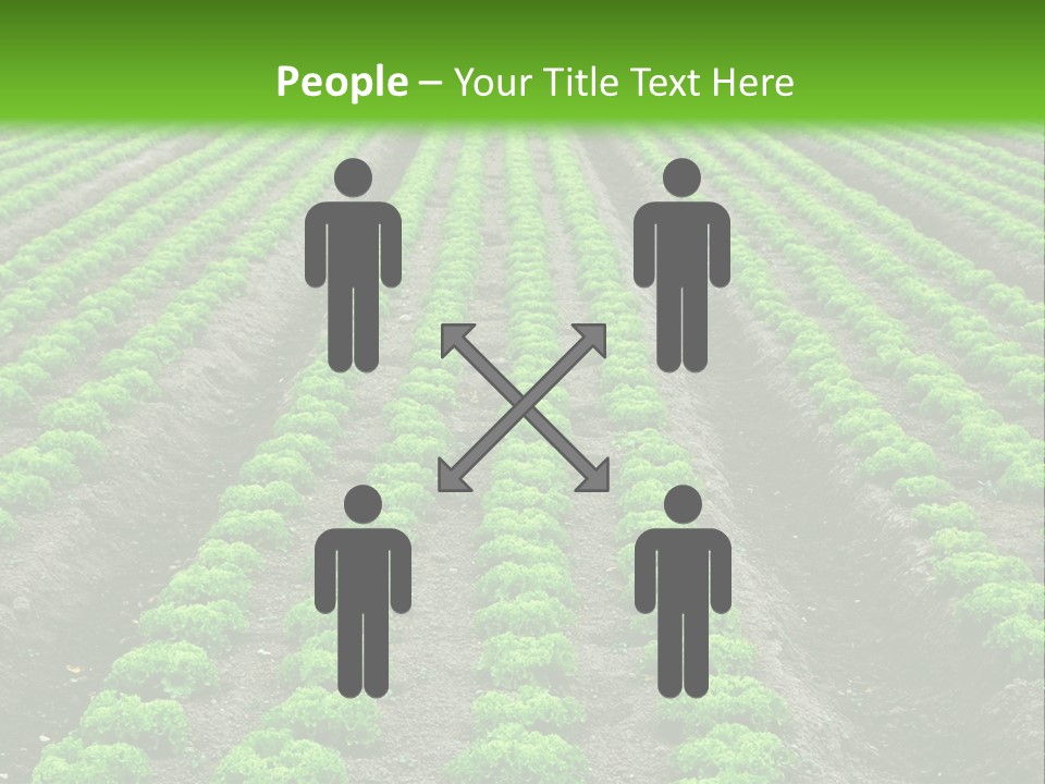 Natural Farming Field PowerPoint Template