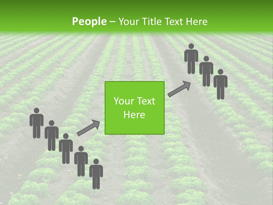 Natural Farming Field PowerPoint Template