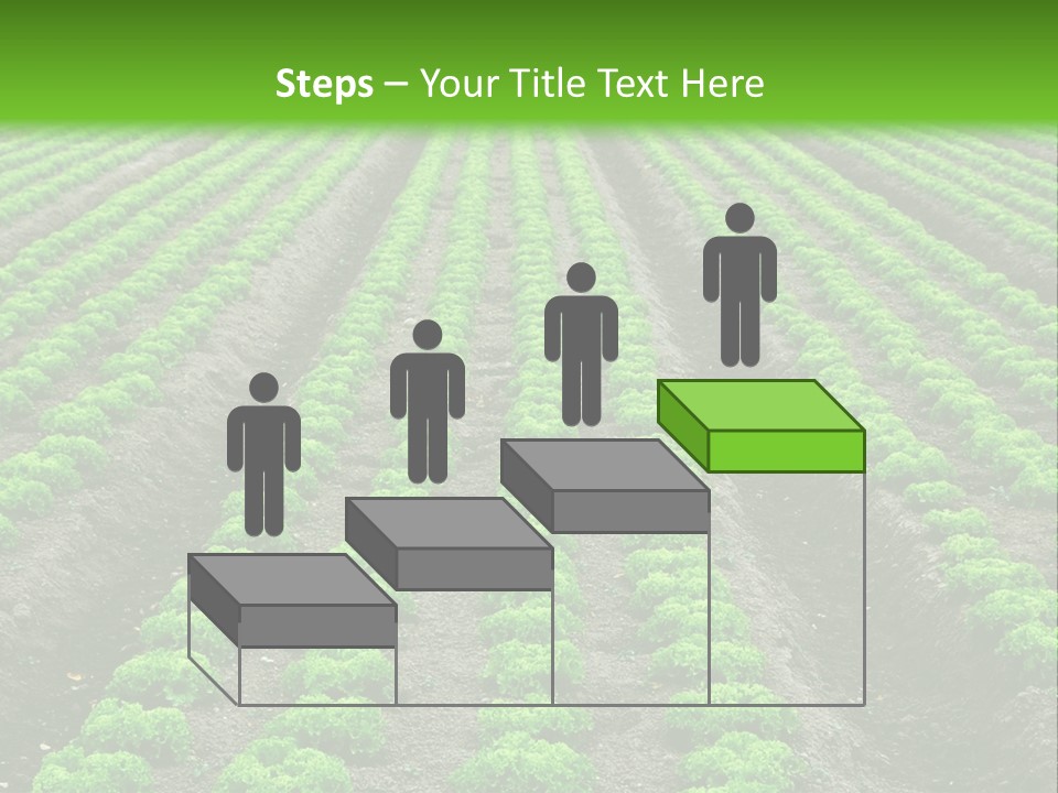 Natural Farming Field PowerPoint Template