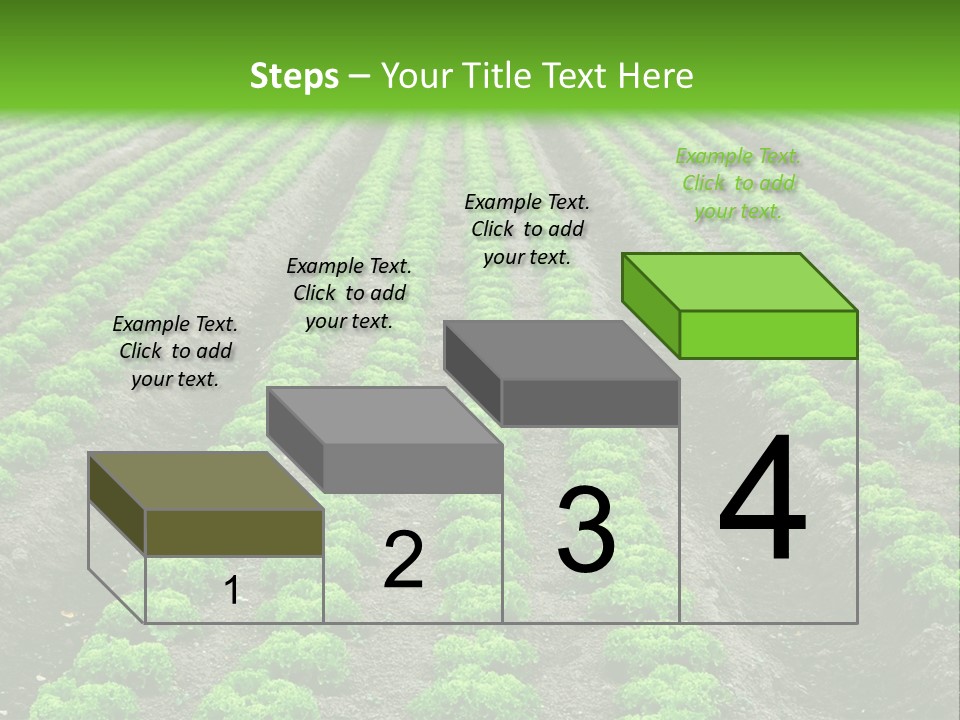 Natural Farming Field PowerPoint Template