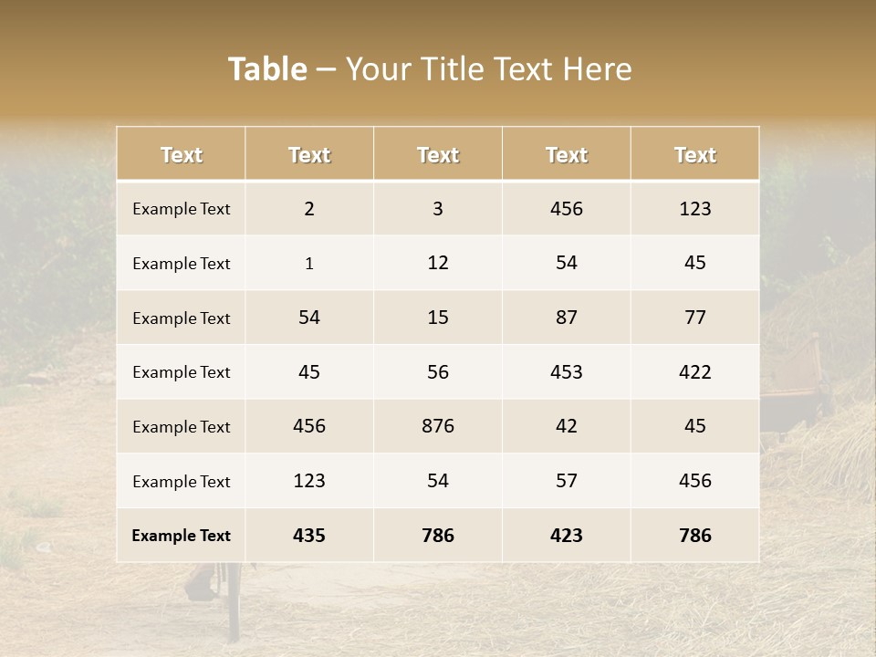 Rice Travel Valley PowerPoint Template