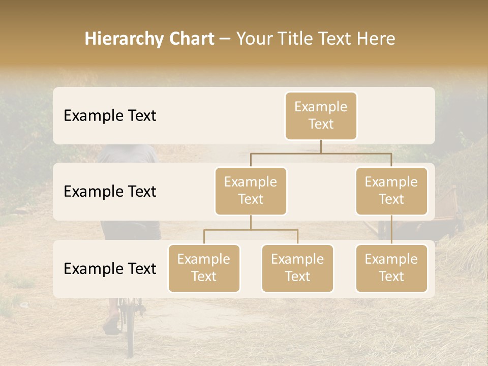 Rice Travel Valley PowerPoint Template