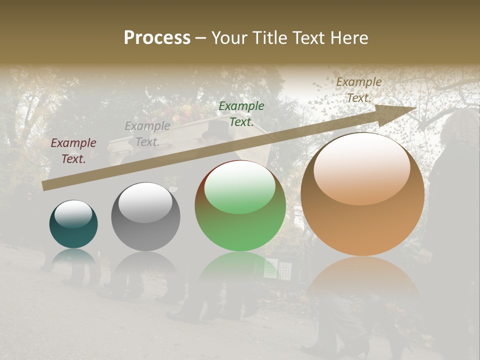 Yellow Forest Image PowerPoint Template