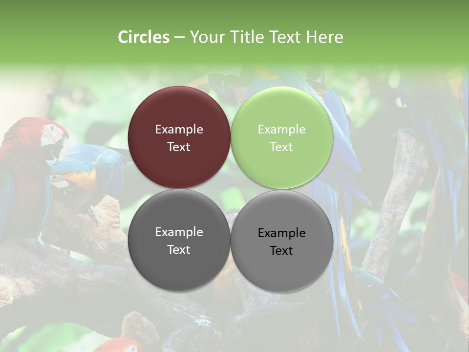 Yellow Forest Image PowerPoint Template