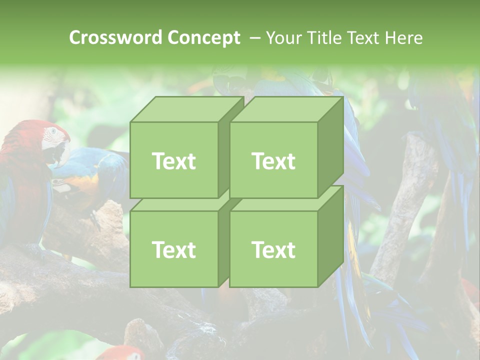 Yellow Forest Image PowerPoint Template