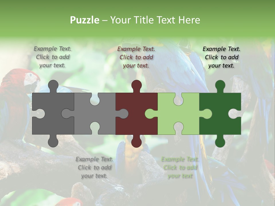 Yellow Forest Image PowerPoint Template