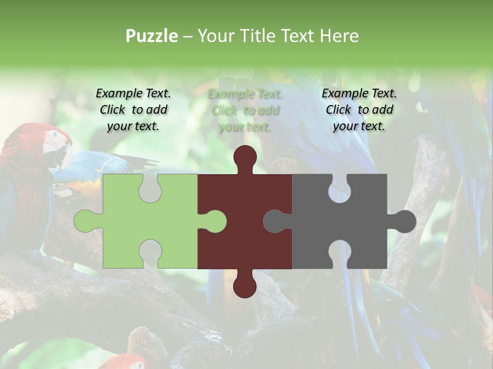 Yellow Forest Image PowerPoint Template