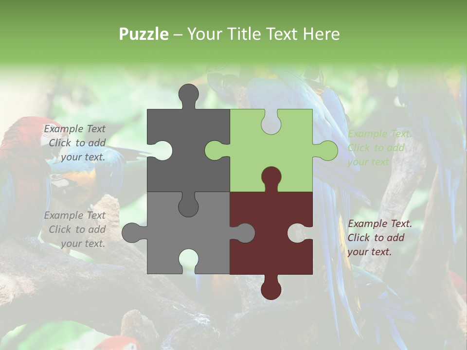 Yellow Forest Image PowerPoint Template