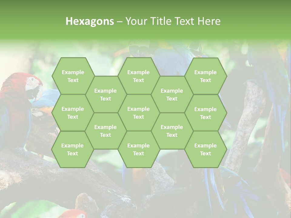 Yellow Forest Image PowerPoint Template