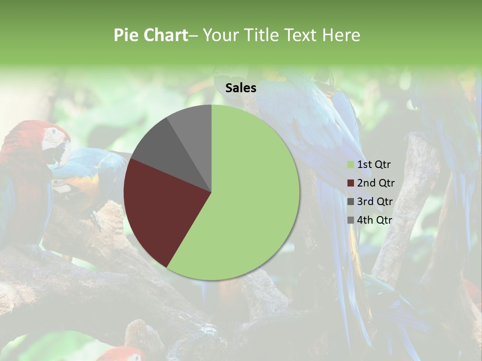 Yellow Forest Image PowerPoint Template