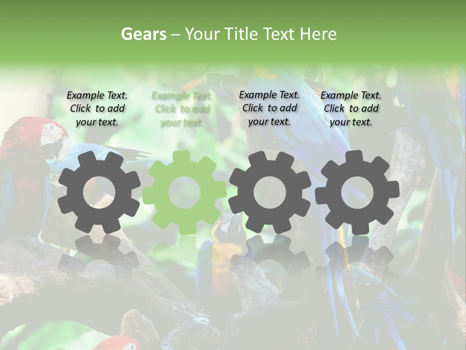 Yellow Forest Image PowerPoint Template