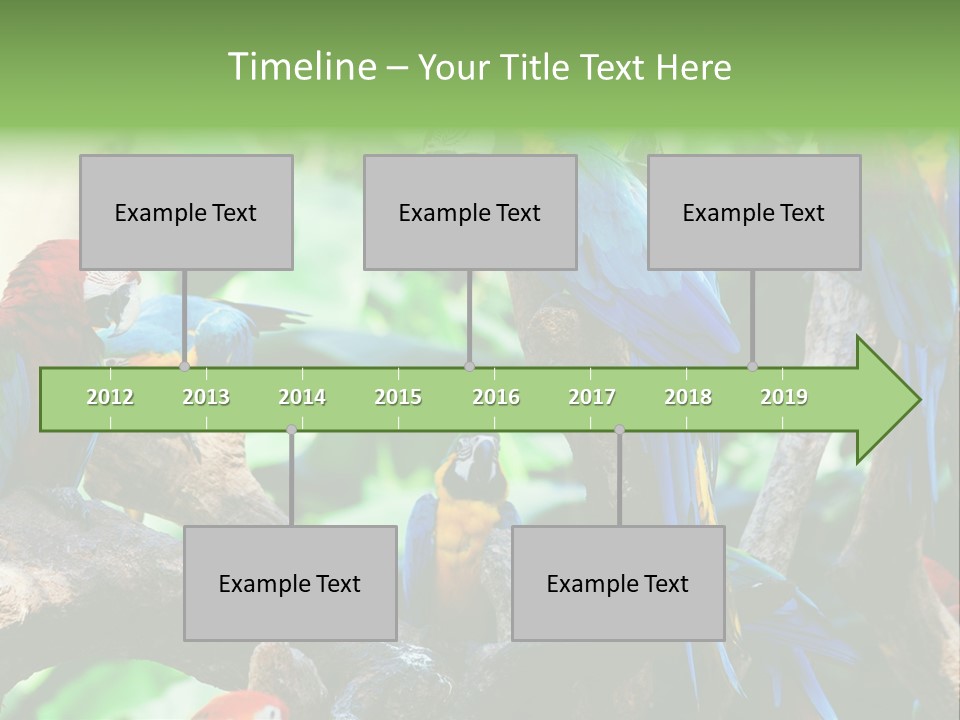 Yellow Forest Image PowerPoint Template