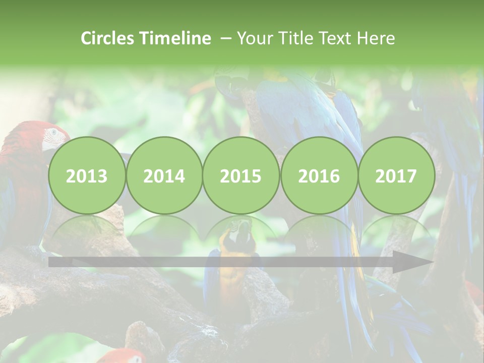 Yellow Forest Image PowerPoint Template