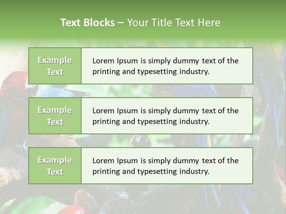 Yellow Forest Image PowerPoint Template