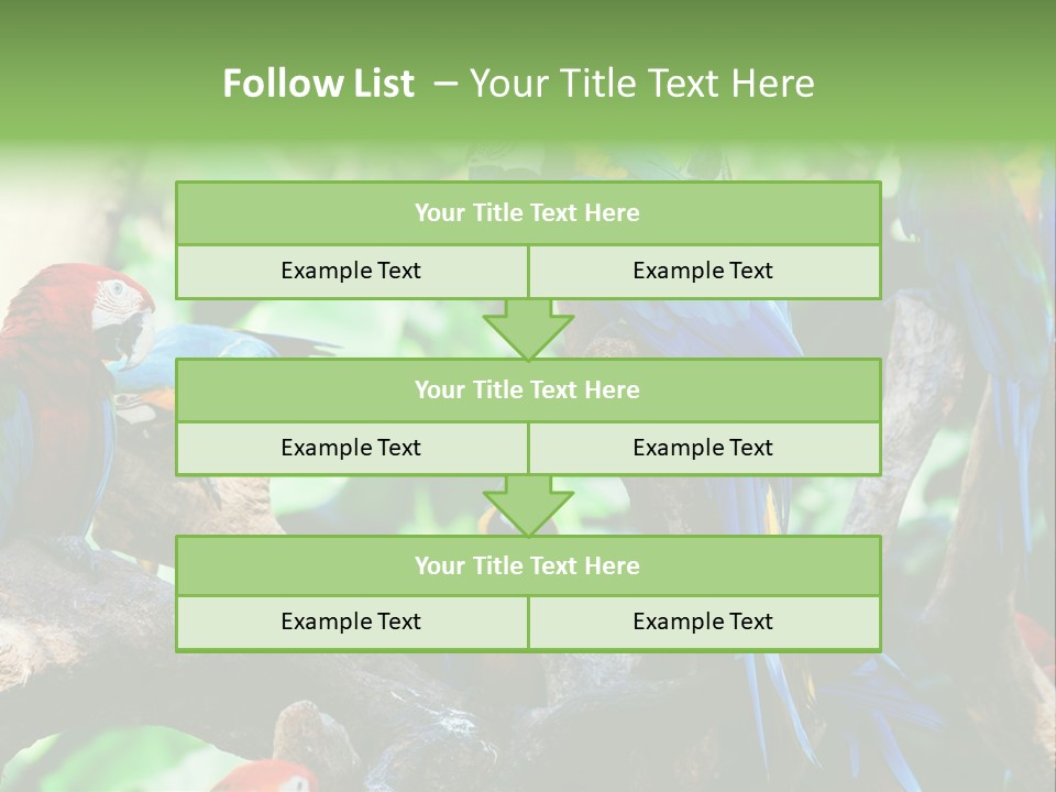Yellow Forest Image PowerPoint Template