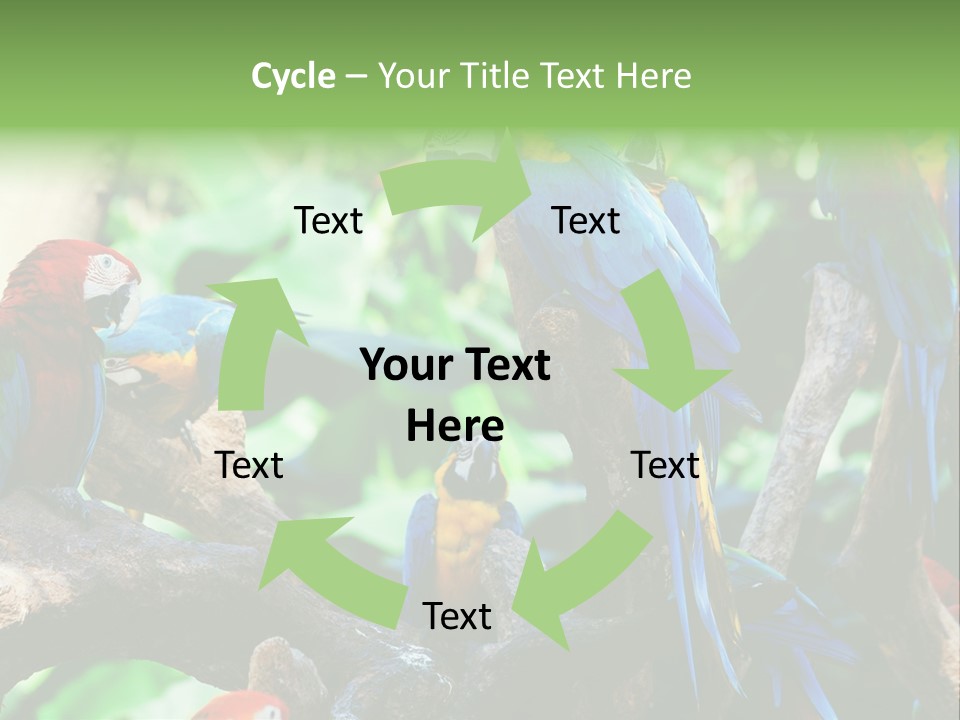 Yellow Forest Image PowerPoint Template